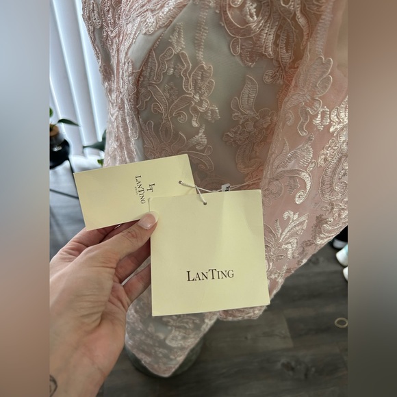 🩷LanTing Sz 6-8 Pink Dress Lace NWT🩷 Measurements Included! - Picture 3 of 16